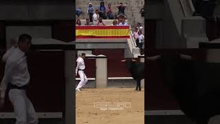 LOS MEJORES SALTOS A TOROS EN LAS VENTAS tricks madrid sports [upl. by Inail492]