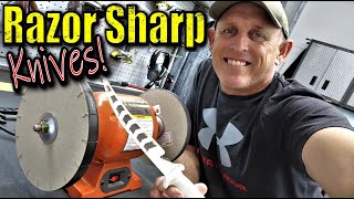 Best Knife Sharpener on the Planet [upl. by Eenaej]