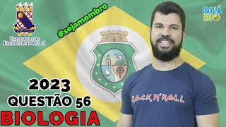 UECE 2023  Questão 56  Sobre as plantas terrestres é correto afirmar que [upl. by Ulick]