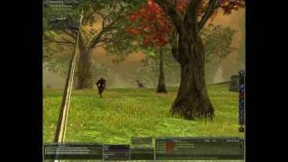 Darkfall Online  Small Group PvP [upl. by Amoritta]