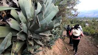 Trekking a Luricocha  Huanta [upl. by Nosreme448]