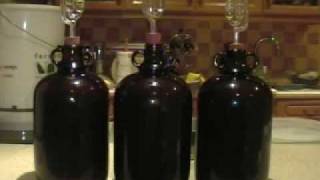 How to Make Wine from Grapes at Home [upl. by Cort]