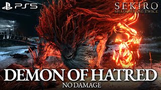 Demon of Hatred Boss Fight No Damage Sekiro [upl. by Ahsatak748]