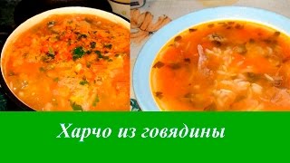 Рецепт супер Харчо из говядины [upl. by Elleirbag56]