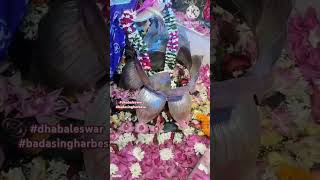 🙏🌹🔱Baba Dhabaleswar🔱🌹🙏 chandrachuda besa panchuka kartika mahadev hinduprayer saispab [upl. by Jobe]