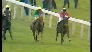 1982 Sun Templegate Hurdle Daring Run Includes Replay [upl. by Cavallaro]