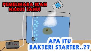 Apa itu Bakteri Starter dan Gunanya ANIMASI [upl. by Anaid]