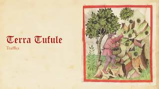 TACUINUM SANITATIS Man Medicine amp Nature in PreModern Europe [upl. by Westerfield667]