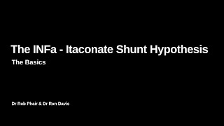 The IFNa  Itaconate Shunt Hypothesis The Basics Low Stimulus [upl. by Jeffers]