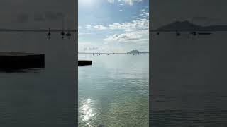 ❌ puerto pollensa un paraíso ❌ shorts viral mallorca [upl. by Obeng]