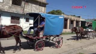 Continúa represión estatal contra cocheros en Guantánamo Cuba [upl. by Ramunni]