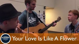 Your Love Is Like A Flower  IBMA World of Bluegrass Jam [upl. by Heman]