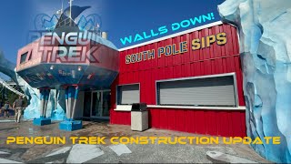 SeaWorld Orlando Penguin Trek Construction update Walls down and penguin exhibit 52524 [upl. by Menken]