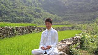 Zhineng Qigong  meditation to heal and awake human consciousness [upl. by Todd]