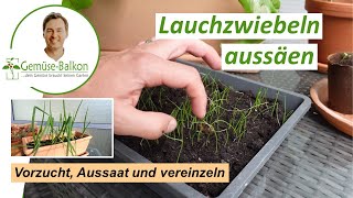 Frühlingszwiebeln Lauchzwiebeln aus Samen anziehen 🌱  Vorzucht Anzucht Vereinzeln [upl. by Weinshienk]