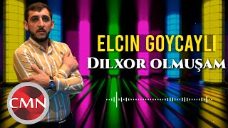 Elçin Göyçaylı  Dilxor Olmuşam 2021 Official Audio [upl. by Tepper]