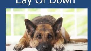 Obedience Training For Dogs Free 101 Dog Training Tips [upl. by Etaner56]