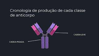 IMUNOLOGIA  Anticorpos e suas classes [upl. by Niarbo]