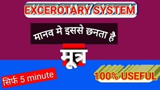 EXCEROTARY SYSTEM OUTLINE DIAGRAM  उत्सर्जन तंत्र [upl. by Chery]