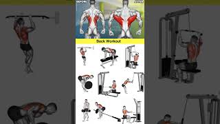 Day33 Most Effective back Workoutfitness gymexplorebodybuildingfypworkout backhome reels [upl. by Joann340]