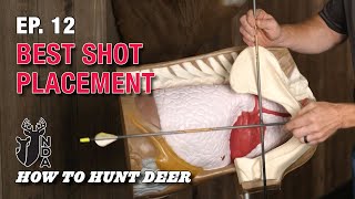 Best Shot Placement for Deer How to Hunt Deer Ep 12 [upl. by Sig489]