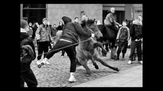 Smithfield Horsefair Dublin Ireland  gerry smith photography [upl. by Angela]