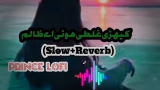 Kehri Ghalti Hoi A ZALIM  Sraiki Song  SlowReverb 2024  Prince Lofi [upl. by Asilec]