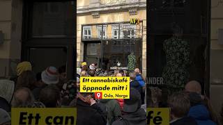 Cannabiskafé öppnade upp – mitt i Oslo [upl. by Latihs]