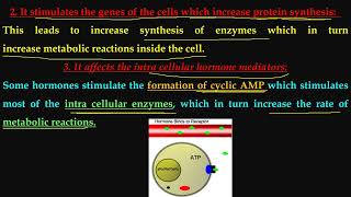 THE ENDOCRINE SYSTEM 04 11 2024 PART1 [upl. by Habeh]