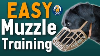 Dog Muzzles Everything You Need To Know And How To Muzzle Train Dogs 153 podcast [upl. by Maller]