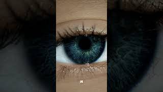 Why do our pupils dilate in the dark [upl. by Anual]