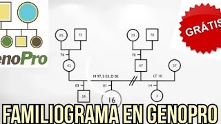 ¿Cómo hacer un Familiograma usando Genopro [upl. by Nagem]