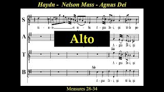 Haydn  Alto  Nelson Mass  6A  Agnus Dei [upl. by Naenej]