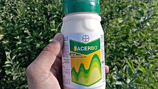 Acerbo fungicide Bayer  Fluopyram 2137  Trifloxystrobin 2137 SC [upl. by Eanat490]