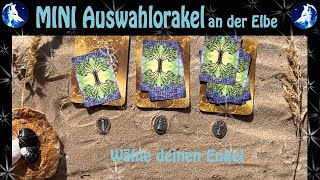 🌊🤍🐺 MINI Auswahlorakel an der Elbe🤍🐺🌊 Tarot☆zeitlos [upl. by Cyndy]