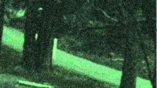 Strange Alien Sticklike creatures caught on security camera above Fresno in Yosemite National Park [upl. by Gianina]