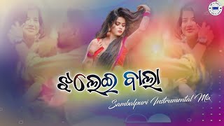 Jhaleibala  Sambalpuri Instrumental Mix  Sbp Dj World [upl. by Hanej122]