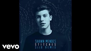 Shawn Mendes  Stitches SeeB Remix  Official Audio [upl. by Onihc]