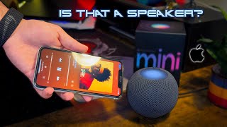 HomePod Mini Review Is It Worth It IN 2024 [upl. by Jayme]