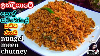 ඉන්දියාවේ ක්‍රමයට nungel meen පොල් සම්බෝලේ nungal meen coconut chutney for dosa side dish for dosa [upl. by Lorimer642]