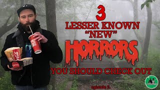 3 LesserKnown Horror Movies I Want YOU To See Newish Horrors [upl. by Elboa862]