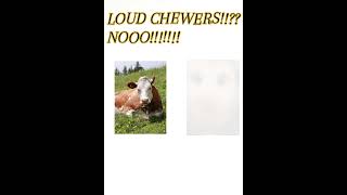 I Hate Loud Chewers memes funny lol cow cute viral popular [upl. by Pelligrini433]