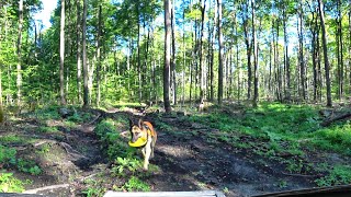 Exploring the Back Roads Indian River Michigan Off Road [upl. by Oivat]