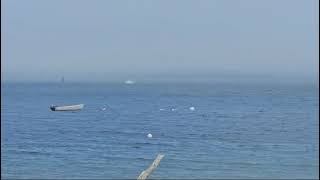 Humpback Whale Islesboro Maine [upl. by Humfried]