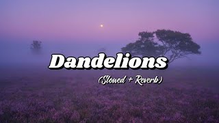 Dandelions by Ruth B Slowed  Reverb [upl. by Naol]