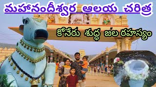 మహానంది Mahanandi Temple Trip in Telugu Mahanadishwara Swamy Temple Water speciality Many In One [upl. by Anitsuga654]