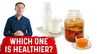 Kefir vs Kombucha Tea Which One is Healthier [upl. by Esyak]