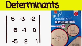 4a Determinants class 11 principles of Mathematics [upl. by Kosel]