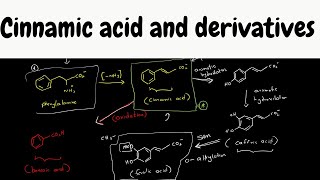 cinnamic acid biosynthesis  biosynthesis part 9 [upl. by Garfinkel]