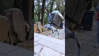 Use of robots to collect garbage shorts [upl. by Karia975]